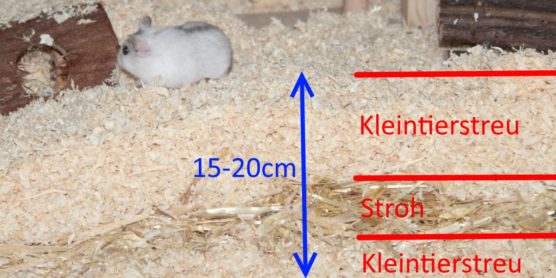 Die Einstreu im Hamsterkäfig - Einstreu Schichten 556x278